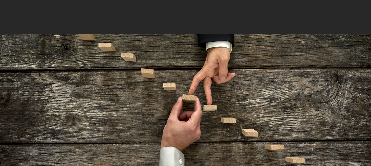 Bonds Linked Investment (BLI)